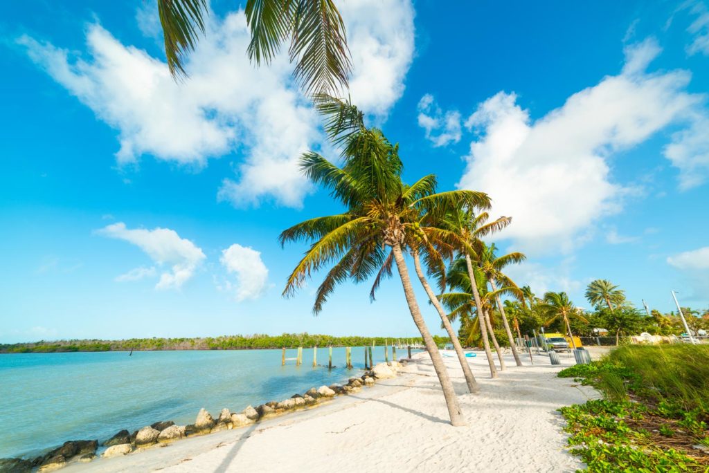 Discovering the 19 Best Beaches in Florida: Sun, Sand, and Serenity