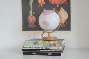 A stylish globe resting on a stack of books with botanical art in the background, representing education and exploration.