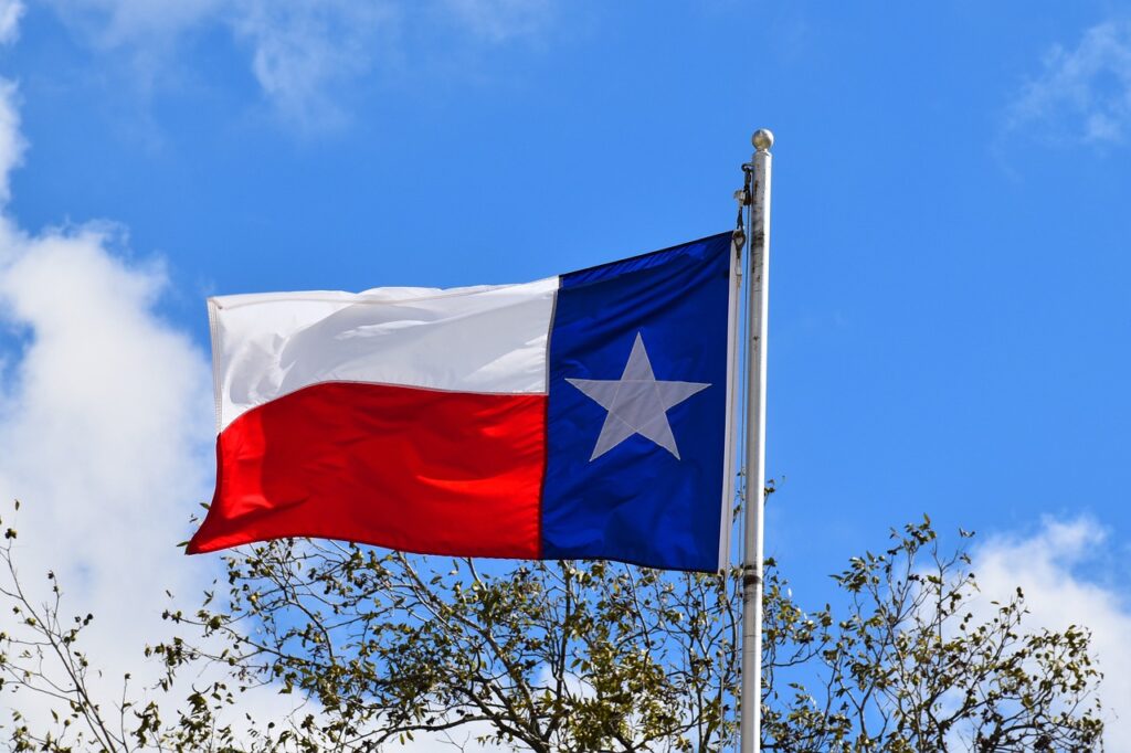 texas state flag, texas, flag