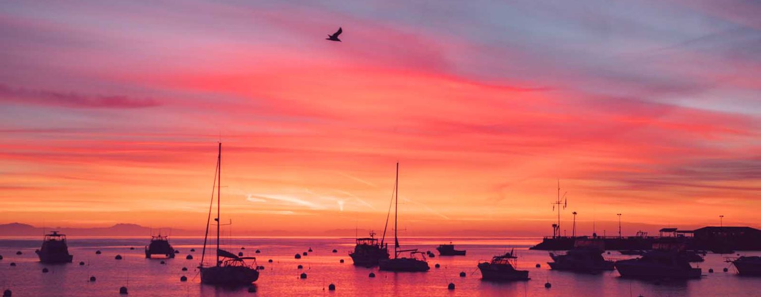 Catalina Island, California - I chickened out; But somehow got rewarded