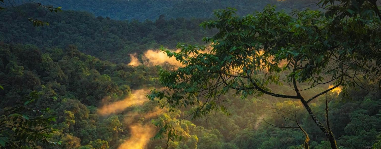 Mashpi Lodge - Luxury and Adventure in the Cloud Forest of Ecuador