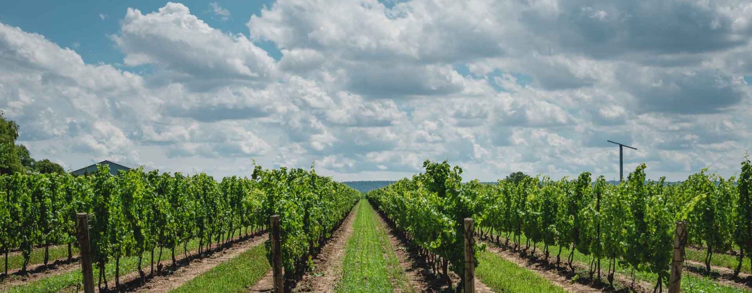 The Ultimate Guide To Prince Edward County, Ontario